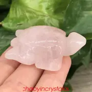 2'' Natural rose quartz sea turtles quartz crystal skull carved decor reiki 1pc