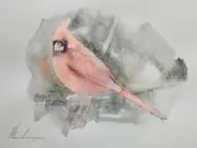 Cardinal, Birds, Watercolor artwork, Handmade, Original painting on paper