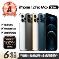 在飛比找momo購物網優惠-【Apple】A級福利品 iPhone 12 Pro Max