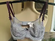NEW Victoria's Secret Dream Angels Push Up Without Padding Bra Gray Lace 32C NWT