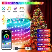 LED Lights LED String Fairy Lights Copper Wire Xmas Wedding Party Bluetooth App