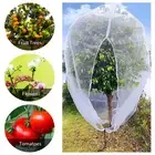 Fruit Fly Net Insect Mesh Vegetable Garden Plant Tree Protection Cover Bags AU