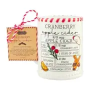 Mud Pie Christmas, Thanksgiving Apple Cider Recipe Mug NWT
