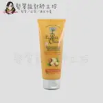 立坽『瞬間護髮』LE PETIT OLIVIER小橄欖樹 HAIR摩洛哥堅果油柔順護髮素200ML LH02 LH07