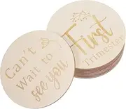 QUMIIRITY 11 Pcs Pregnancy Milestones Milestones Nursery for Monthly Milestone Disc Pregnancy Journey Milestone Markers Weekly Milestone Sign Wooden