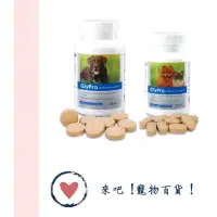 在飛比找蝦皮購物優惠-《VETdicate寵特寶》骼萊優 GlyPro