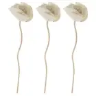 3 Pcs Aromatherapy Rattan Flower Essential Oil Diffuser Sticks Dried Diffusers