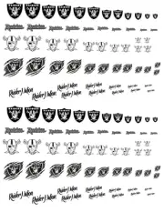 1/64 Hotwheels NFL RAIDERS Waterslide Decals MADE IS THE USA