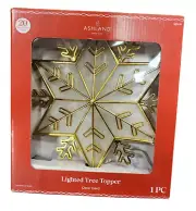 Ashland Lighted Tree Topper - 20 Warm White Lights