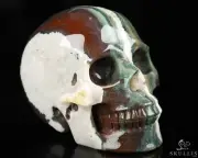 3.9" Green Zebra Agate Hand Carved Crystal Skull, Realistic, Crystal Healing