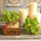 Garden Supply For Home Succulents Fake Flower Artificial Plant Land Lotus