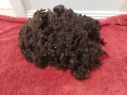 Raw Black/brown 100% Soft Merino Lambs Wool 300g