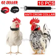 10PCS Anti Crow Collar for Roosters Cockerel No Crow Noise Neck Belt Nylon