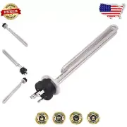 Compact Stainless Steel 240V Immersion Water Heater with Tri-Clamp Connection