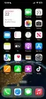 Apple iPhone 13 Pro Max - 1 TB - Gold (Unlocked)