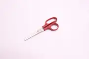 Charles Leonard Blunt Tip Children's Scissors Red 5" 77510