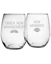 Susquehanna Glass Set of 2 Management Stemless Wine Glasses