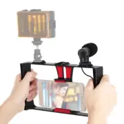 PULUZ 2 in 1 Live Broadcast Smartphone Video Rig + Microphone Kits
