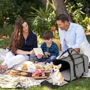 CostwayLarge Rolling Cat Dog Carrier with Dual-use Pads-Grey