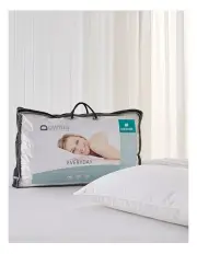 [Downia] Everyday Duck Feather and Down Pillow in White