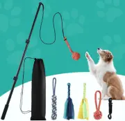 Pet Scene Interactive Flirt Pole Toy Dog Pet Cat Play Wand Retractable Traini...