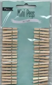 Mini Pegs - Wooden