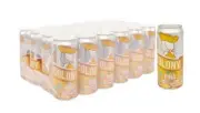 12 Pineapple Soda Old Colony Puerto Rico Refresco Cold Soft Drink Beverage FoodC