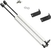 2x Styling Front Hood Bonnet Modify Gas Struts Lift Support Shock Damper Absorber Compatible With Chery Arrizo GX 2018-2020(Silver)