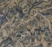 Walnut Burl composite wood veneer 24" x 24" raw no backer 1/42" thickness # 1215