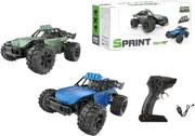 R/C 1:14 Sprint 4X4 2 Colour Vehicle