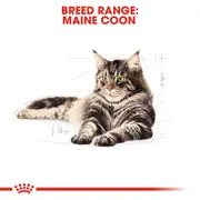 Royal Canin Maine Coon Adult In Gravy Wet Cat Food - 85g