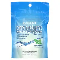 在飛比找iHerb優惠-[iHerb] XyliDENT Dry Mouth Moi