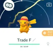✨Shiny Pikachu✨ Straw Hat-Pokémon Guide -How to Trade *free Trade Include