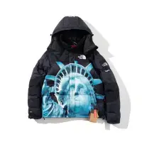 在飛比找Yahoo!奇摩拍賣優惠-Supreme x the north face 19fw 