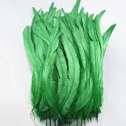 50 Pcs Natural Rooster Feather Far Crafts Rooster Tail Feathers Pheasant Feathers Decoration Feathers 25-30CM Grass EN8
