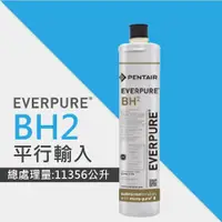 在飛比找ETMall東森購物網優惠-【EVERPURE 】BH2活性碳濾芯/BH-2平行輸入濾芯