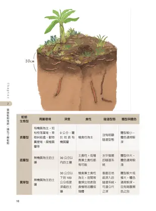 超詳解蚯蚓堆肥製作與利用