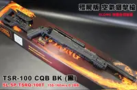 在飛比找Yahoo!奇摩拍賣優惠-【翔準軍品AOG】SLONG TSR-100 CQB TAN