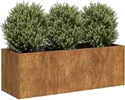 Raised Garden Bed, Elevated Planter Box Plant Container Rusty 120x40x40 cm Weathering Steel