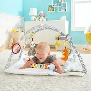 【愛吾兒】費雪 Fisher Price 感官訓練可愛動物健身器