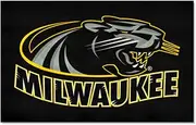 FANMATS 18433 NCAA Anderson University Ulti-Mat