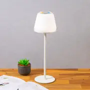 Multi Coloured Rechargeable Table Lamp