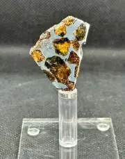 RARE PALLASOVKA METEORITE PALLASITE PARTIAL SLICE 5,66 g