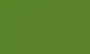 VAL70850 Vallejo Model Color: Medium Olive (17ml)