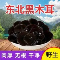 在飛比找淘寶網優惠-新貨東北黑龍江黑木耳乾貨500g野特產級優質小碗耳散裝秋大木