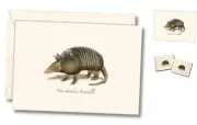 Earth Sky + Water - Nine-banded Armadillo Notecard Set - 8 Blank Cards with