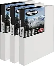 Jerry's Artarama Paramount Professional Gallery Wrapped Canvases for Painting, 4x4" Pack of 3 Heavy - Duty Stretched, Unbleached 100% Cotton, 1-13/16 Deep, Acid - Free, Medium - Tooth Surface