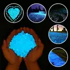 UP TO 1200X Pebbles Stone Glow in the Dark Rock Fish Tank Stones Garden Road GU
