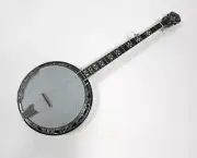 GOLD TONE 5-STRING BLUEGRASS BANJO w/ GIG BAG ~ VINTAGE STYLE NEW - BG-150F