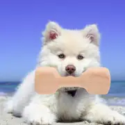 Wood Dumbbell Dog Toys Wooden Dumbbells for Dogs Puppy Treat Chew